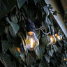 Tagra | Core Series | Connectable LED Festoon String | Black | 500mm Spacing | 10 Fixtures | IP44 | 5M - Core1__94314__52909__77475.jpg