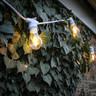 Tagra | Core Series | Connectable LED Festoon String | White | 1000mm Spacing | 50 Fixtures | IP44 | 50M - White_1__13528__90979__86298.jpg