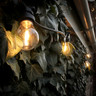 Tagra | Pro Series | Connectable LED Festoon String | Black | 500mm Spacing | 10 Fixtures | IP65 | 5M - Pro1__01845__24374__91130.jpg