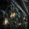 Tagra | Pro Series | Connectable LED Festoon String | Alternate Drop | Black | 500mm Spacing | 10 Fixtures | IP44 | 5M - Alternate_Drop_1__27570__75914__88962.jpg
