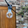 Tagra | LED Festoon Lamp | GLS Filament | 2700K - Clear_GLS_Blur_Test__41416__66614__04170.jpg