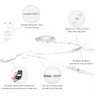 DAZE by Tagra Plug and Play Digital Pixel Colour Changing 10 Metre LED Strip Light Kit - RGBIC_Infographic__80745__84823__65534.jpg