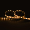 Tagra | Professional LED Strip Light | 168 LEDs p/m | 24V | IP67 | 14.4Wp/m | 1900K-3000K | 5M Reel - TP24-193K-IP-StripLight-19K.jpg