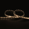 Tagra | Professional LED Strip Light | 168 LEDs p/m | 24V | IP67 | 14.4Wp/m | 1900K-3000K | 5M Reel - TP24-193K-IP-StripLight-3K.jpg