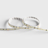 Tagra | Long Run LED Strip Light | 160 LEDs p/m | 48V | IP20 | 9.3Wp/m | 30M Reel - LR48-30M-StripLight-OFF.jpg