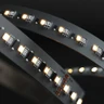 Tagra | Pro LED Strip Light | Long 48 | 240 LEDs/m | 48V | IP20 | 19.2W/m | RGB+W | 15M Reel - LR48-RGBW-StripLight-ON.jpg