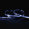 Tagra | Pro LED Strip Light | Long 48 | 240 LEDs/m | 48V | IP67 | 19.2W/m | RGB+W | 15M Reel - LR48-RGBW-IP-StripLight-BLUE.jpg