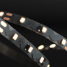 Tagra | Pro LED Strip Light | S Bend | 60 LEDs p/m | 12V | IP20 | 12W/m | 5M Reel - SG12-SB-StripLight-ON.jpg