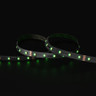 Tagra | Pro LED Strip Light | S Bend | 48 LEDs p/m | 24V | IP20 | 12.6W/m | RGB+W | 5M Reel - SG24-MBRGBW-StripLight-GREEN.jpg
