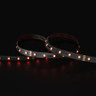 Tagra | Pro LED Strip Light | S Bend | 48 LEDs p/m | 24V | IP20 | 12.6W/m | RGB+W | 5M Reel - SG24-MBRGBW-StripLight-RED.jpg