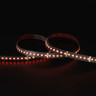 Tagra | High Definition LED Strip Light | 240 LEDs p/m | 24V | IP20 | 20W/m | RGB+W | 5M Reel - HD24-RGBW-StripLight-RED.jpg