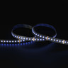 Tagra | High Definition LED Strip Light | 240 LEDs p/m | 24V | IP20 | 20W/m | RGB+W | 5M Reel - HD24-RGBW-StripLight-BLUE.jpg