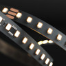 Tagra | Pixel LED Strip Light | 126 LEDs p/m | 6 pixels p/m | 24V | IP20 | 8W/m | 5M Reel - TD24-126-StripLight-ON.jpg