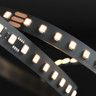Tagra | Pixel LED Strip Light | 126 LEDs p/m | 6 pixels p/m | 24V | IP20 | 8W/m | 5M Reel - TD24-126-StripLight-ON.jpg