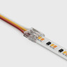Tagra | LED Strip Solderless Connector | CCT | 10mm | Tape to Wire | IP20 | Pack of 10 - CONSOL-CCT-10MM-TW__2__88401__70574__92980.1698140834.1280.1280__99128.jpg