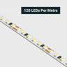 Tagra | Economy LED Strip Light | 120 LEDs p/m | 24V | IP20 | 9.6W/m | 5 & 50M Reels  - ES24-120-StripLight-CLOSE.jpg