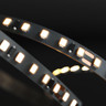 Tagra | Economy LED Strip Light | 120 LEDs p/m | 24V | IP20 | 9.6W/m | 5 & 50M Reels  - ES24-120-StripLight-ON.jpg