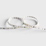 Tagra | Essential LED Strip Light | 60 LEDs p/m | 12V | IP20 | 4.8Wp/m | 5 & 50M Reel - ES12-60-StripLight-OFF.jpg