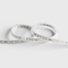 Tagra | Essential LED Strip Light | 60 LEDs p/m | 12V | IP65 | 4.8Wp/m | 5 & 50M Reel - ES12-60-IP-StripLight-OFF.jpg