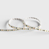 Tagra | Economy LED Strip Light | 120 LEDs/m | 12V | IP20 | 9.6W/m | 5 & 50M Reels  - ES12-120-StripLight-OFF.jpg