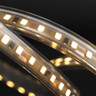 Tagra | Economy LED Strip Light | E-120 | 120 LEDs/m | 12V | IP65 | 9.6W/m | 5 & 50M Reels - ES12-120-IP-StripLight-ON.jpg