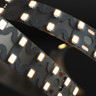 Tagra | Pro LED Strip Light | S Bend 15 | 160 LEDs p/m | 24V | IP20 | 19.2W/m | 5M Reel - DR24-SB-StripLight-ON.jpg