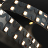 Tagra | Pro LED Strip Light | S Bend 15 | 160 LEDs/m | 24V | IP20 | 19.2W/m | 5M Reel - DR24-SB-StripLight-ON.jpg