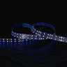 Tagra | Pro LED Strip Light | S Bend 15 | 168 LEDs p/m | 24V | IP20 | 20Wp/m | RGB | 5M Reel - DR24-SBRGB-StripLight-BLUE.jpg