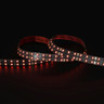 Tagra | Pro LED Strip Light | S Bend 15 | 168 LEDs p/m | 24V | IP20 | 20Wp/m | RGB | 5M Reel - DR24-SBRGB-StripLight-RED.jpg