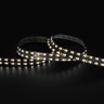 Tagra | Pro LED Strip Light | S Bend 15 | 320 LEDs p/m | 24V | IP20 | 38.4Wp/m | 2700-6500K | 4M Reel - DR24-SB276K-StripLight-6K.jpg