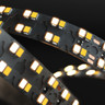 Tagra | Pro LED Strip Light | S Bend 15 | 320 LEDs p/m | 24V | IP20 | 38.4W/m | 2700-6500K | 4M Reel - DR24-SB276K-StripLight-ON.jpg