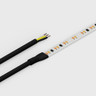 Cut to Size by Tagra | Professional LED Strip Light | 140 LEDs p/m | 24V | IP20 | 19.2Wp/m | CCT | Custom - CTO-TP24-276K_STRIPWIRE.jpg