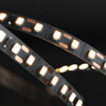 Tagra | Pro | LED Strip Light | 120 LEDs p/m | 24V | IP20 | 10.6W/m | 5 & 50M Reel - PS24-120-StripLight-ON.jpg