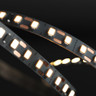 Tagra | Pro | LED Strip Light | 120 LEDs p/m | 24V | IP20 | 10.6W/m | 5 & 50M Reel - PS24-120-StripLight-ON.jpg