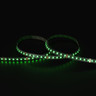 Tagra | Pro LED Strip Light | 120 LEDs p/m | 24V | IP20 | 11W/m | RGB | 5 & 50M Reels - TA24-RGB-120-StripLight-GREEN.jpg