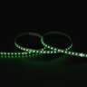 Tagra | Pro LED Strip Light | 120 LEDs/m | 24V | IP20 | 11W/m | RGB | 5 & 50M Reels - TA24-RGB-120-StripLight-GREEN.jpg