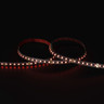 Tagra | Pro LED Strip Light | Pro SMD | 120 LEDs/m | 24V | IP20 | 11W/m | RGB | 5 & 50M Reels - TA24-RGB-120-StripLight-RED.jpg