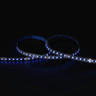 Tagra | Pro LED Strip Light | Pro SMD | 120 LEDs/m | 24V | IP20 | 11W/m | RGB | 5 & 50M Reels - TA24-RGB-120-StripLight-BLUE.jpg