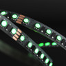 Tagra | Pro LED Strip Light | 120 LEDs/m | 24V | IP20 | 11W/m | RGB | 5 & 50M Reels - TA24-RGB-120-StripLight-ON.jpg