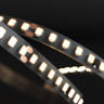 Tagra | High Definition LED Strip Light | 160 LEDs p/m | 24V | IP20 | 14.4W/m | 5M Reel - AS24-160-StripLight-ON.jpg