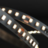Tagra | Efficiency LED Strip Light |  144 LEDs p/m | 24V | IP20 | 7.7W/m | 5M Reel - PH24-144-StripLight-ON.jpg