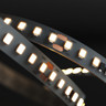 Tagra | Efficiency LED Strip Light | 144 LEDs/m | 24V | IP20 | 7.7W/m | 5M Reel - PH24-144-StripLight-ON.jpg