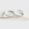 Tagra | Super Bright LED Strip Light | 240 LEDs p/m | 24V | IP65 | 22Wp/m | 5 & 50M Reel - PB24-240-StripLight-OFF.jpg
