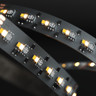 Tagra | Professional LED Strip Light | 288 LEDs p/m | 24v | IP20 | 19.2W/m | RGB+6500k - 2700k | 5M - TA24-RGB276K-StripLight-ON.jpg