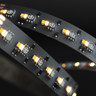 Tagra | Professional LED Strip Light | 288 LEDs p/m | 24v | IP20 | 19.2W p/m | RGB+6500k - 2700k | 5M - TA24-RGB276K-StripLight-ON.jpg