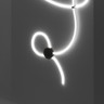 Tagra | Decor Dual Circ 25 | Medium Disc Wall Mount Kit - NEON36025-DISC_MED.jpg