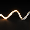 Tagra | Pro LED Neon Flex | Dual 16 | Long Run | 16x16mm | 48V | IP67 | 10.5Wp/m | Custom - NEONDUAL1616-48V-MAIN.jpg