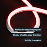 Tagra | Pro LED Neon Flex | Dual 20 | 20x20mm | RGBW | 24V | IP67 | 15.4W/m | Custom - NEONDUAL2020-RGBW-CUSTOM.jpg