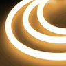 Tagra | Decor LED Neon Flex | Dual Circ 25 Spine | 25x25mm | 24V | IP65 | 22.4W/m | Custom - NEON36025_27K.jpg