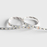 Tagra | Professional LED Strip Light | 60 LEDs p/m | 24V | IP20 | 19.2W/m | RGB+W | 5M Reel - TP24-RGBW-StripLight-OFF.jpg